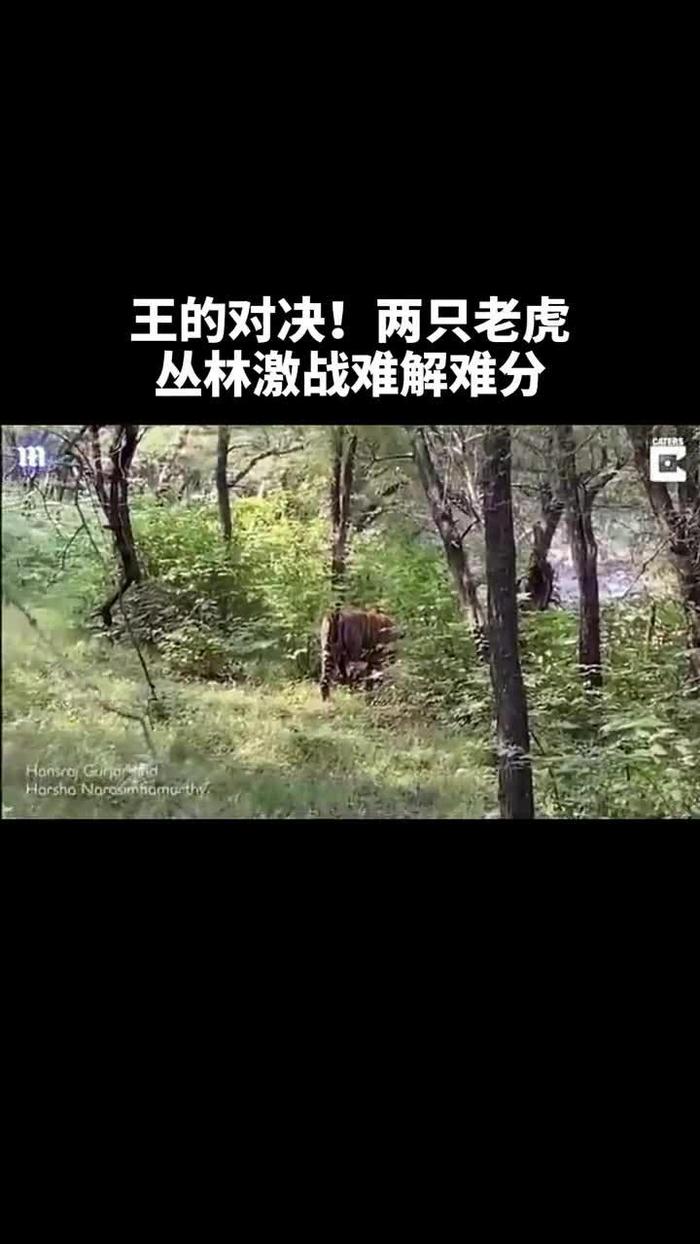 曼市大战平局，双方硬仗难分胜负，表现亮眼
