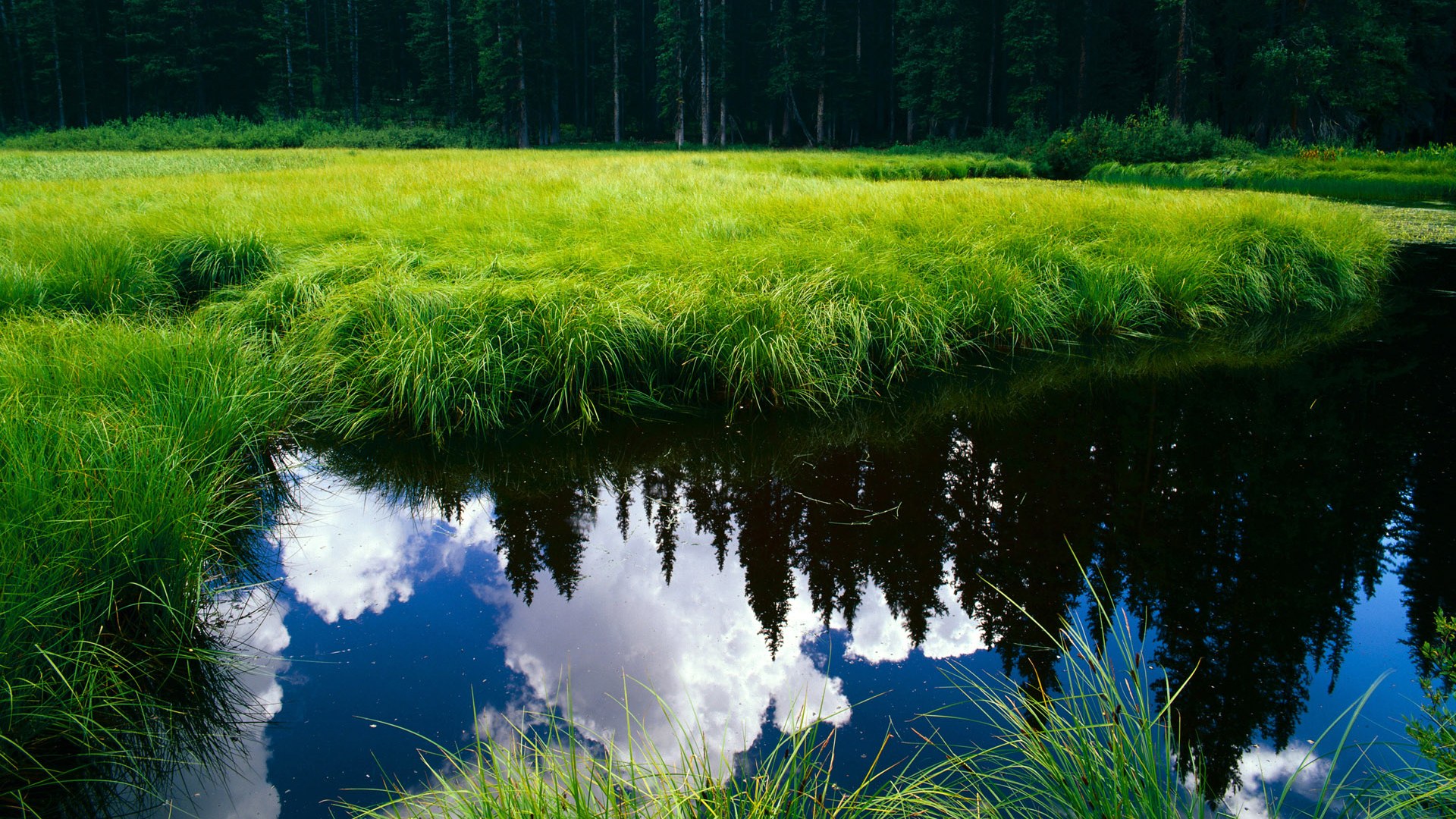 碾碎纽约!公牛东决关键战展露总冠军獠牙,尼克斯防线遭暴力破解