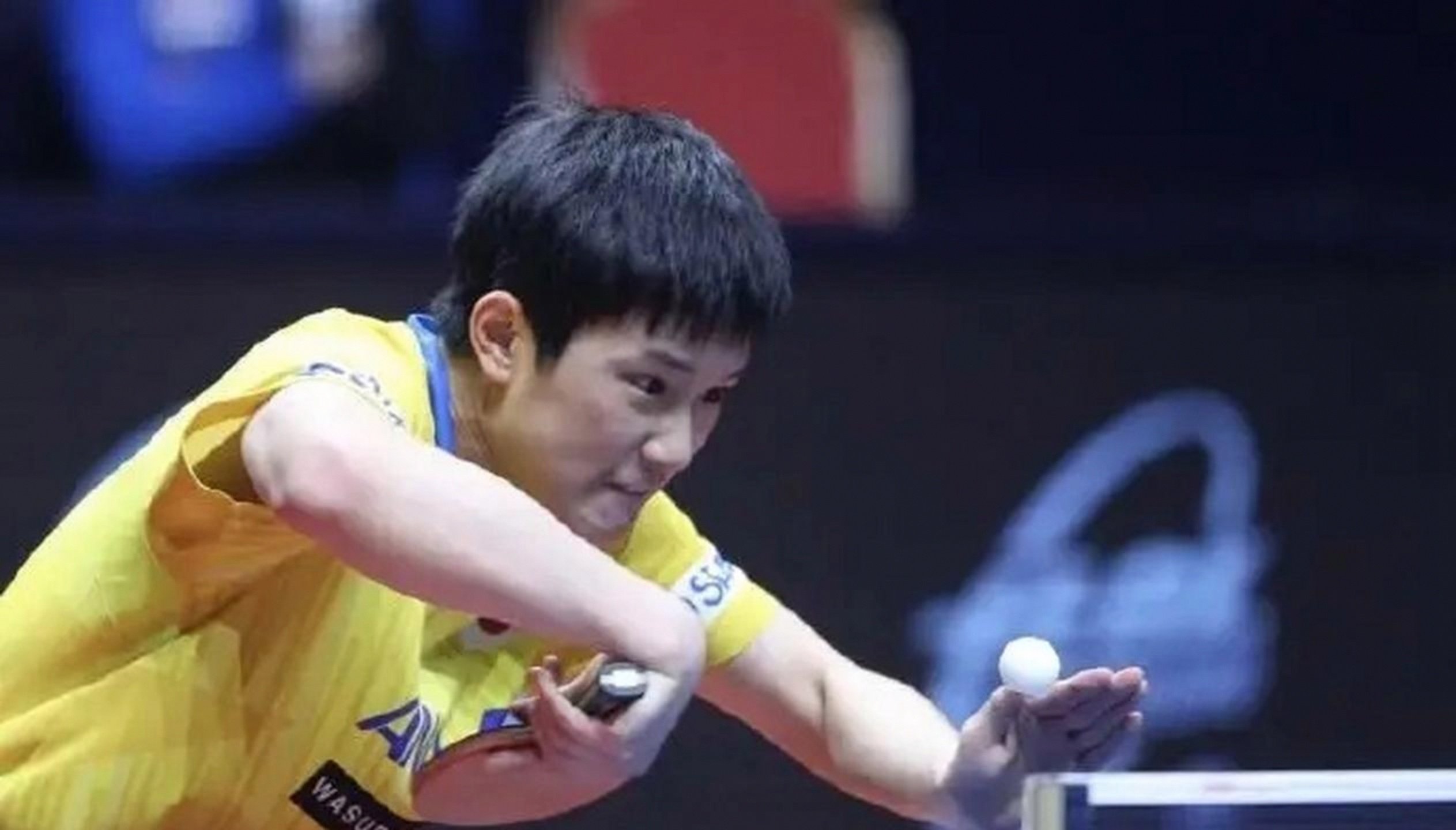 德国队翻盘韩国队，张本智和状态火热的简单介绍